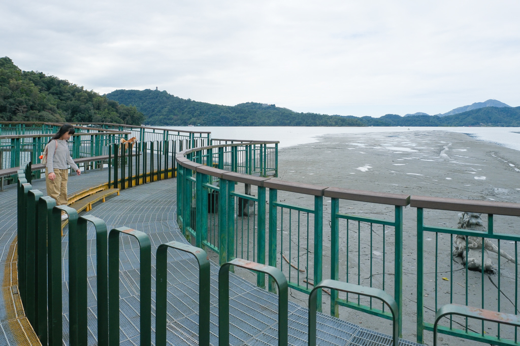 南投魚池｜水蛙頭步道．全長500公尺木棧步道，九蛙疊羅漢像就在這裡 @飛天璇的口袋