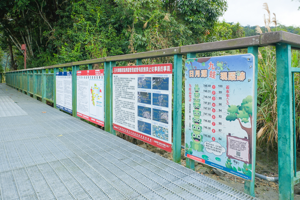 南投魚池｜水蛙頭步道．全長500公尺木棧步道，九蛙疊羅漢像就在這裡 @飛天璇的口袋