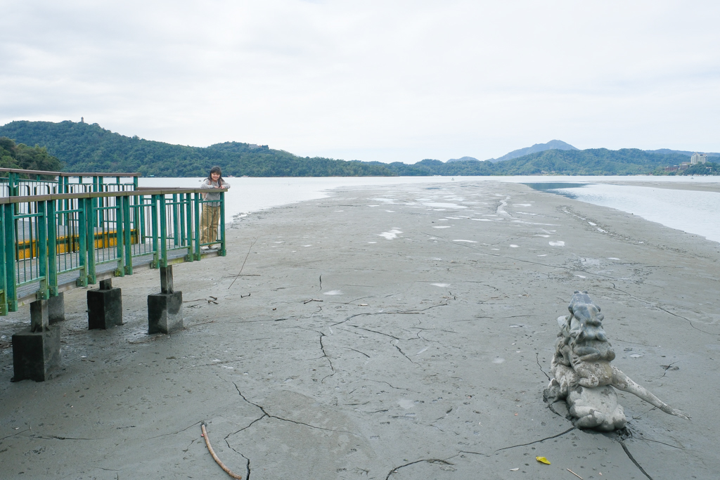 南投魚池｜水蛙頭步道．全長500公尺木棧步道，九蛙疊羅漢像就在這裡 @飛天璇的口袋