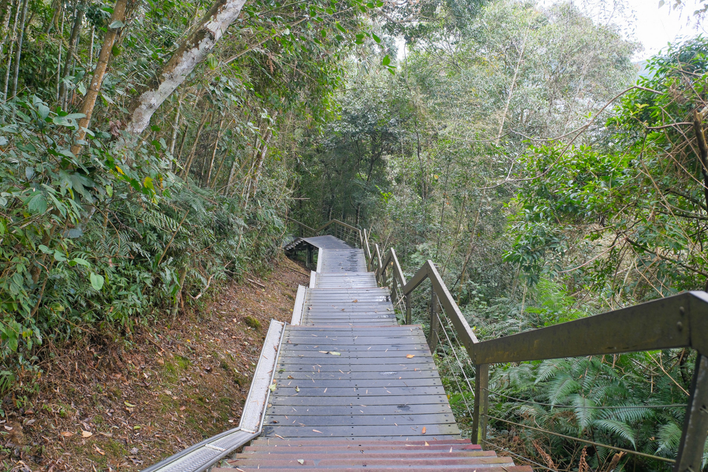 南投魚池｜水蛙頭步道．全長500公尺木棧步道，九蛙疊羅漢像就在這裡 @飛天璇的口袋