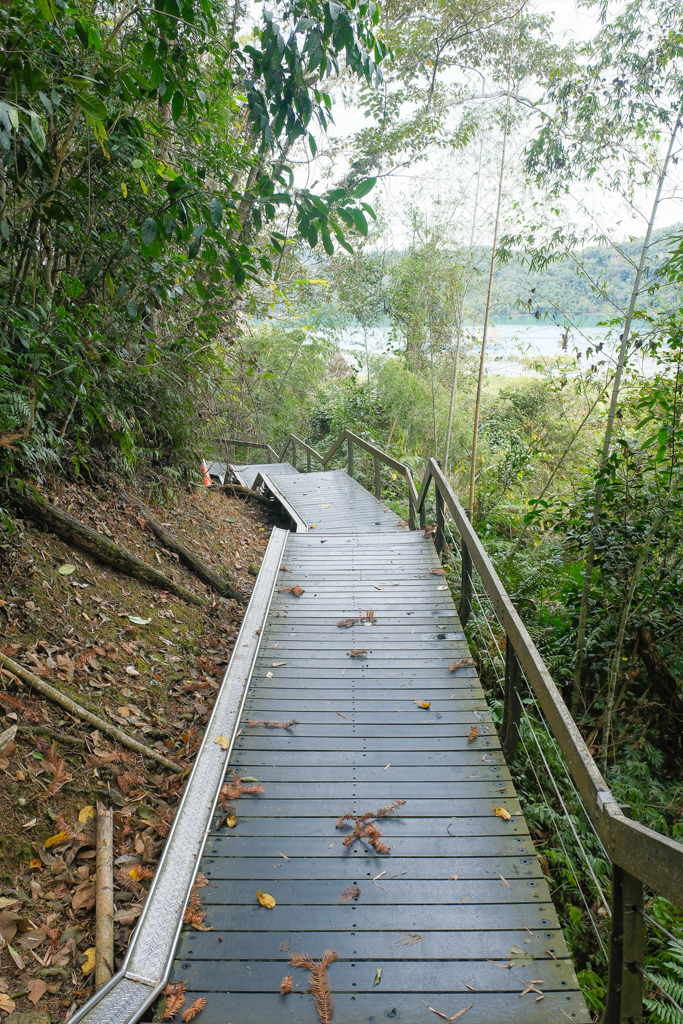 南投魚池｜水蛙頭步道．全長500公尺木棧步道，九蛙疊羅漢像就在這裡 @飛天璇的口袋