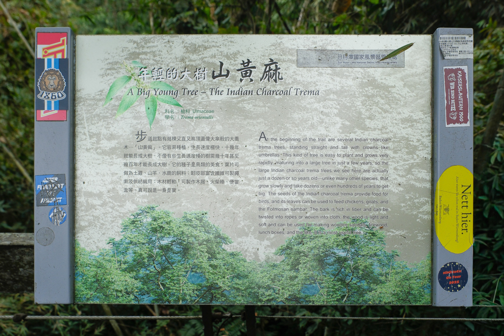 南投魚池｜水蛙頭步道．全長500公尺木棧步道，九蛙疊羅漢像就在這裡 @飛天璇的口袋