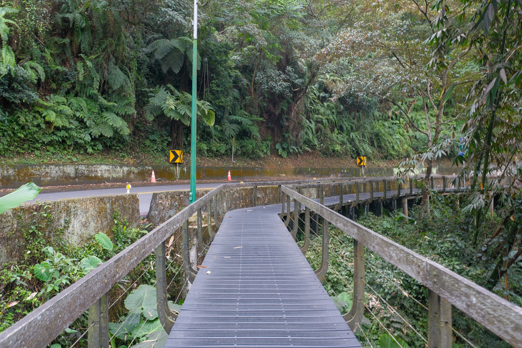 南投魚池｜水蛙頭步道．全長500公尺木棧步道，九蛙疊羅漢像就在這裡 @飛天璇的口袋