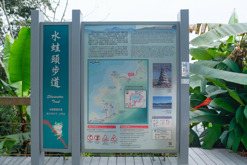 南投魚池｜水蛙頭步道．全長500公尺木棧步道，九蛙疊羅漢像就在這裡 @飛天璇的口袋