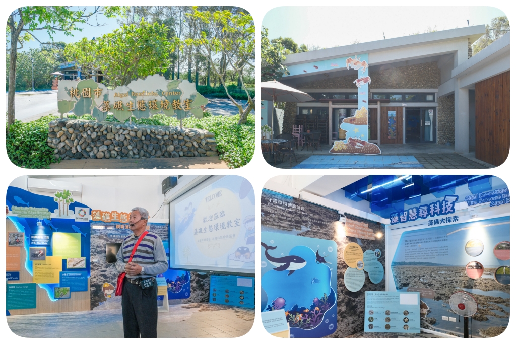 桃園旅遊｜珍珠海岸景點大蒐集．劉克襄老師帶路，桃園海岸線專屬的浪漫旅行 @飛天璇的口袋