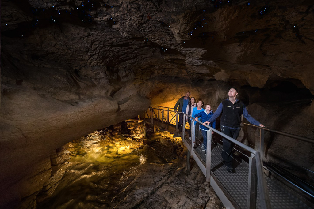 紐西蘭南島｜蒂阿瑙螢火蟲洞．南島超美奇幻探險，洞穴裡的藍色銀河 @飛天璇的口袋
