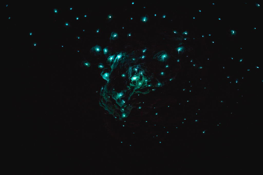 紐西蘭南島｜蒂阿瑙螢火蟲洞．南島超美奇幻探險，洞穴裡的藍色銀河 @飛天璇的口袋