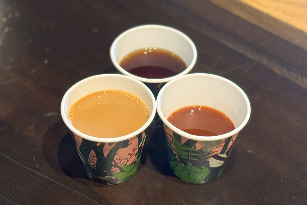 紐西蘭南島｜蒂阿瑙螢火蟲洞．南島超美奇幻探險，洞穴裡的藍色銀河 @飛天璇的口袋