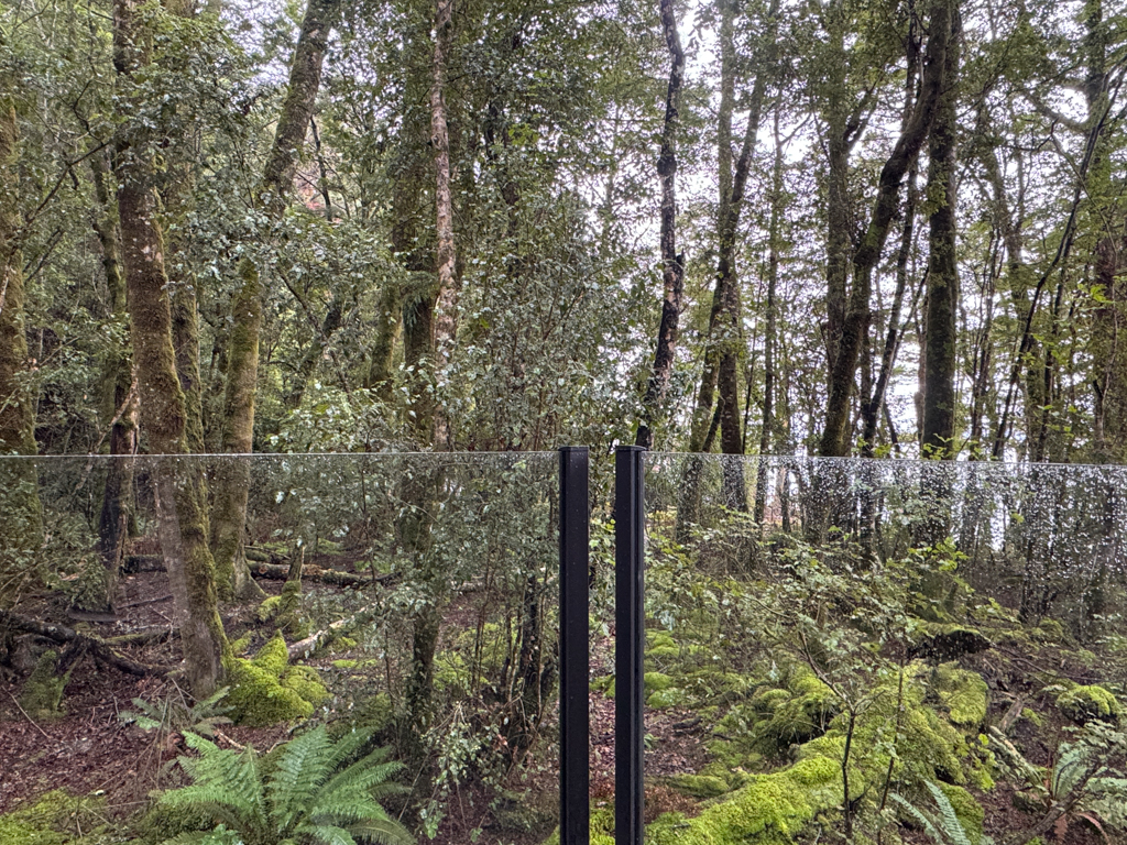 紐西蘭南島｜蒂阿瑙螢火蟲洞．南島超美奇幻探險，洞穴裡的藍色銀河 @飛天璇的口袋