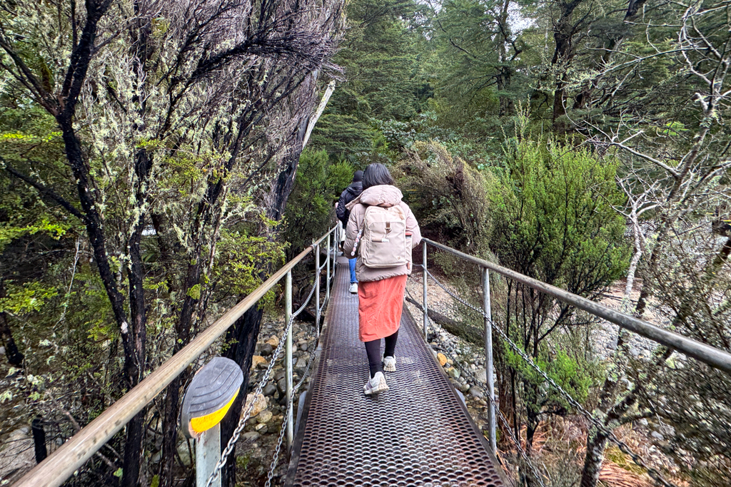 紐西蘭南島｜蒂阿瑙螢火蟲洞．南島超美奇幻探險，洞穴裡的藍色銀河 @飛天璇的口袋