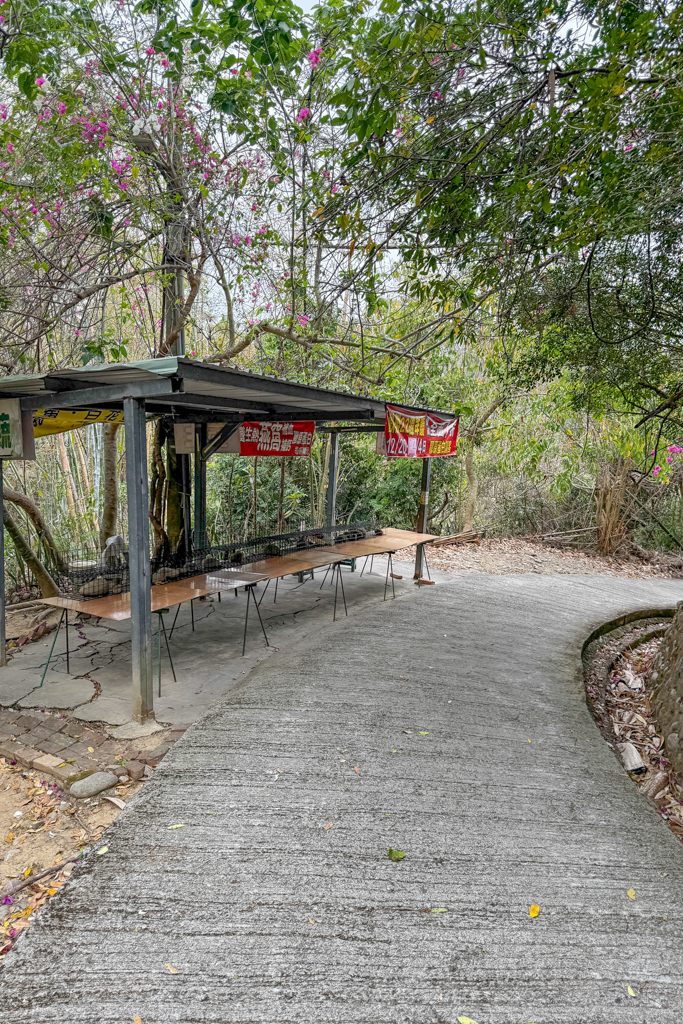 台中北屯｜南觀音山登山步道．編號42小百岳就在台中市區，必拍打卡點黃金佛手 @飛天璇的口袋