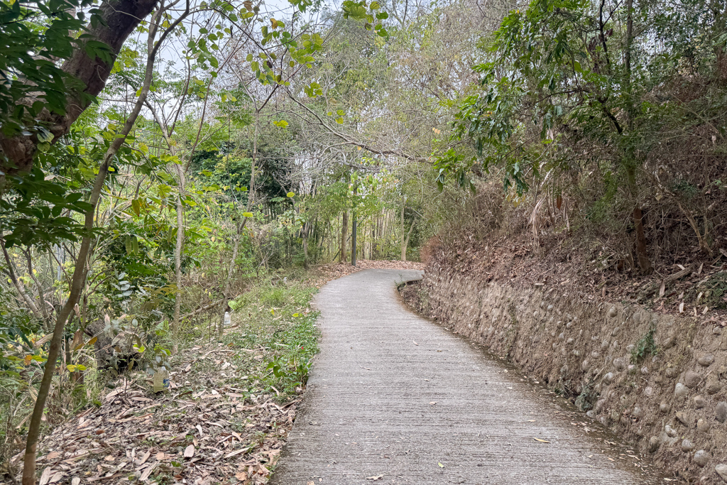 台中北屯｜南觀音山登山步道．編號42小百岳就在台中市區，必拍打卡點黃金佛手 @飛天璇的口袋