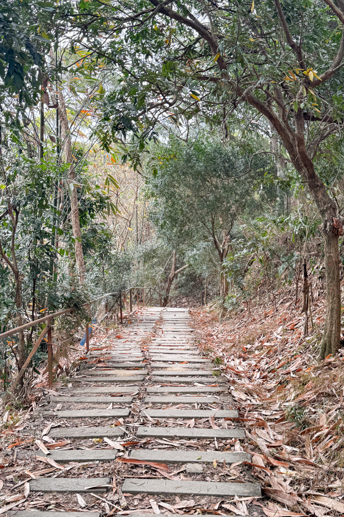台中北屯｜南觀音山登山步道．編號42小百岳就在台中市區，必拍打卡點黃金佛手 @飛天璇的口袋