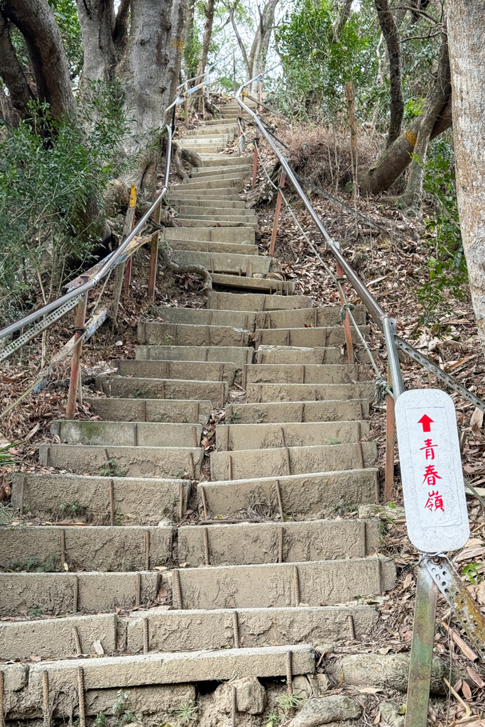 台中北屯｜南觀音山登山步道．編號42小百岳就在台中市區，必拍打卡點黃金佛手 @飛天璇的口袋
