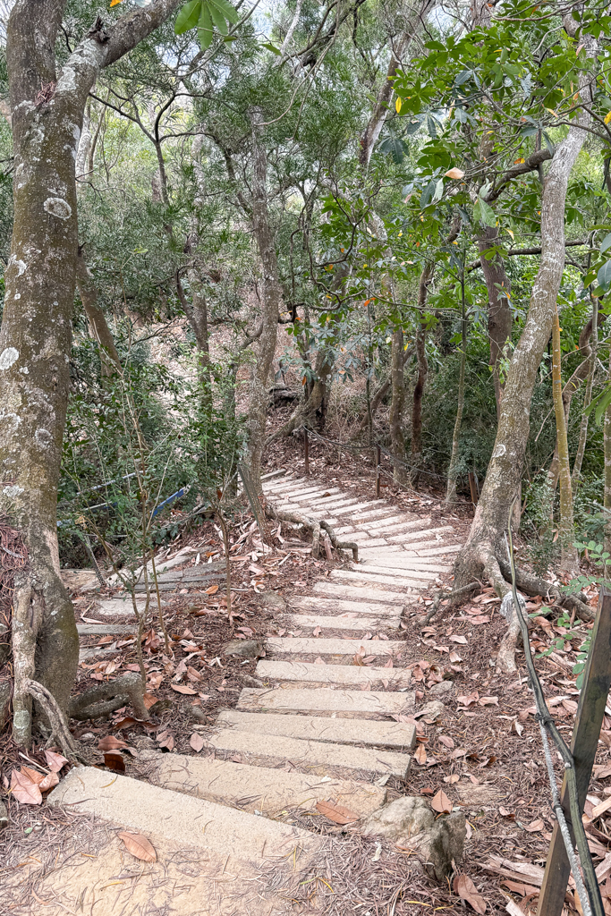 台中北屯｜南觀音山登山步道．編號42小百岳就在台中市區，必拍打卡點黃金佛手 @飛天璇的口袋