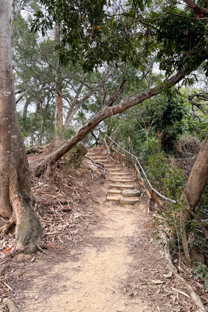 台中北屯｜南觀音山登山步道．編號42小百岳就在台中市區，必拍打卡點黃金佛手 @飛天璇的口袋