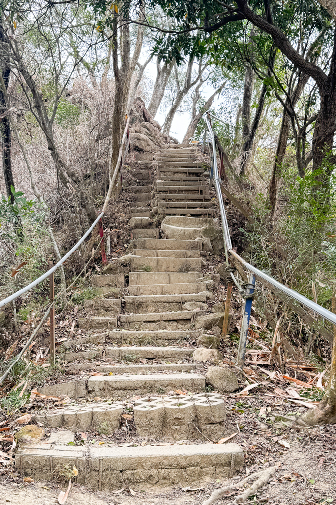 台中北屯｜南觀音山登山步道．編號42小百岳就在台中市區，必拍打卡點黃金佛手 @飛天璇的口袋