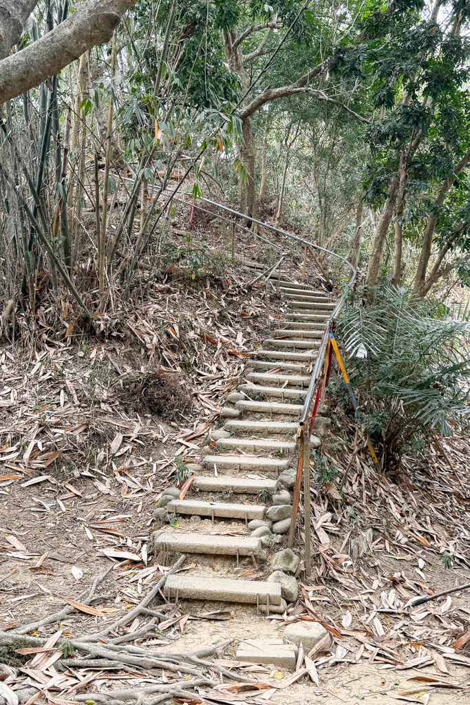 台中北屯｜南觀音山登山步道．編號42小百岳就在台中市區，必拍打卡點黃金佛手 @飛天璇的口袋