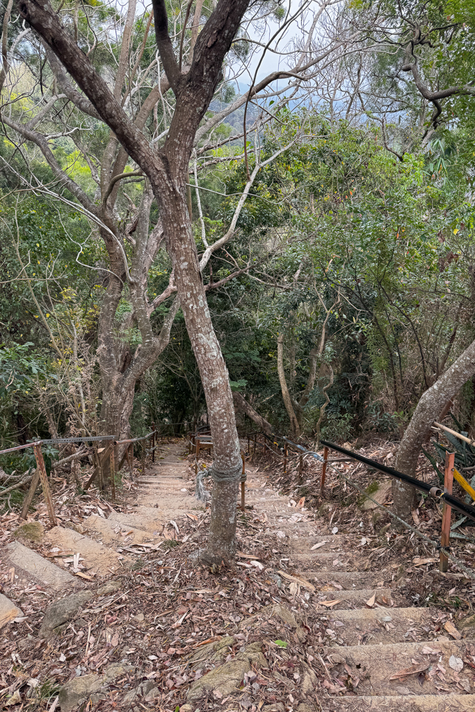台中北屯｜南觀音山登山步道．編號42小百岳就在台中市區，必拍打卡點黃金佛手 @飛天璇的口袋