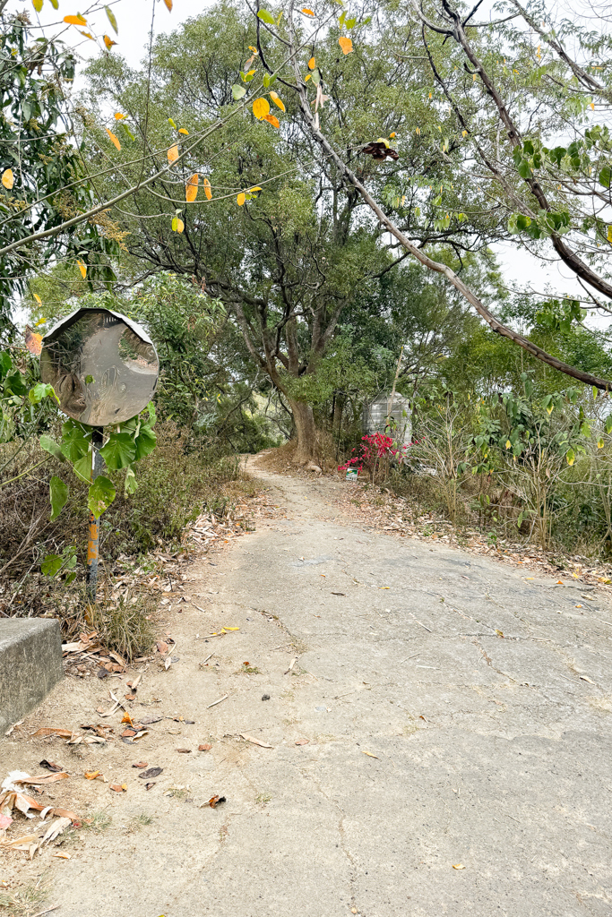 台中北屯｜南觀音山登山步道．編號42小百岳就在台中市區，必拍打卡點黃金佛手 @飛天璇的口袋