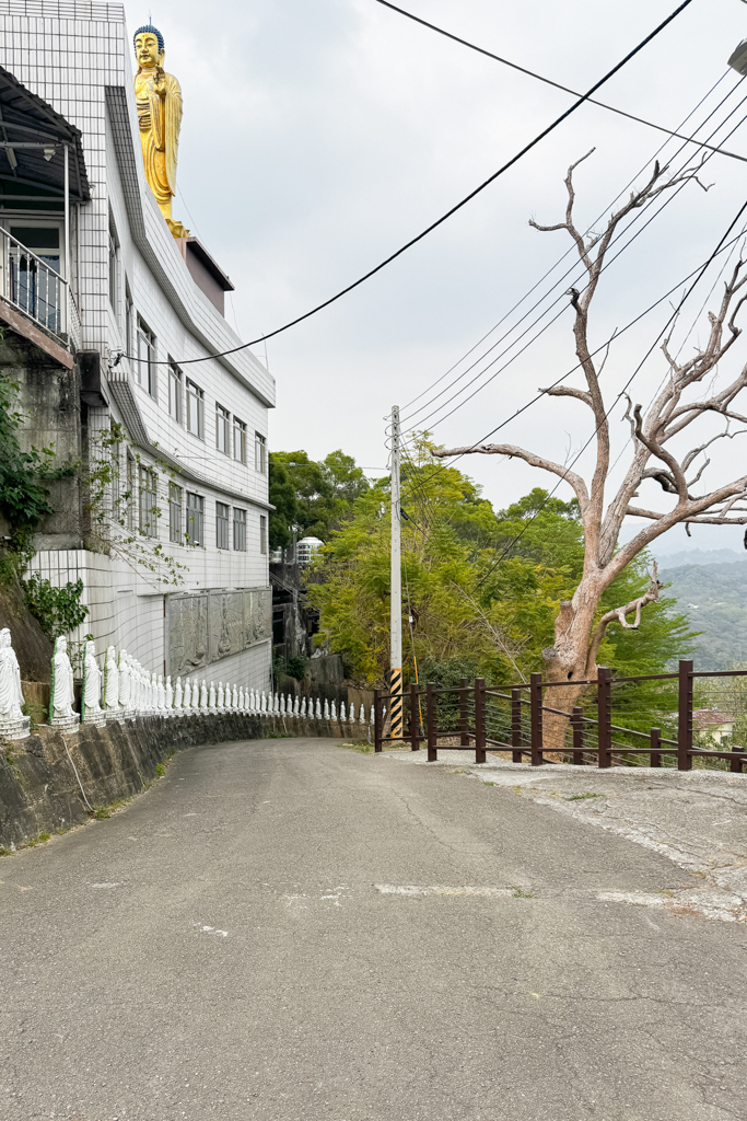 台中北屯｜南觀音山登山步道．編號42小百岳就在台中市區，必拍打卡點黃金佛手 @飛天璇的口袋