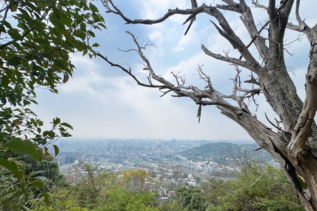 台中北屯｜南觀音山登山步道．編號42小百岳就在台中市區，必拍打卡點黃金佛手 @飛天璇的口袋