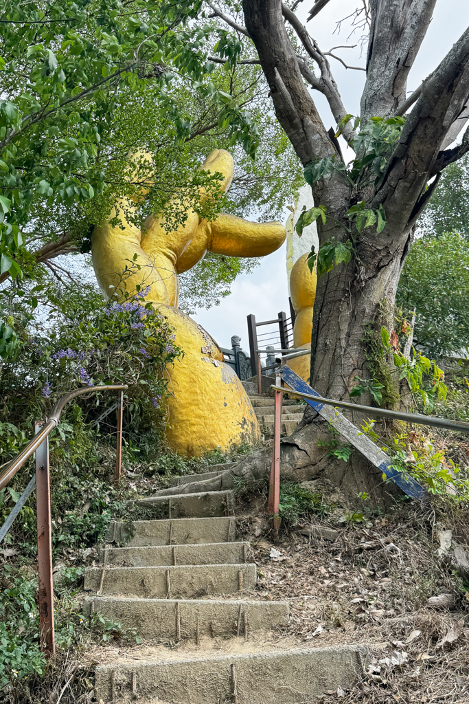 台中北屯｜南觀音山登山步道．編號42小百岳就在台中市區，必拍打卡點黃金佛手 @飛天璇的口袋