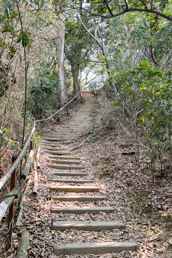 台中北屯｜南觀音山登山步道．編號42小百岳就在台中市區，必拍打卡點黃金佛手 @飛天璇的口袋