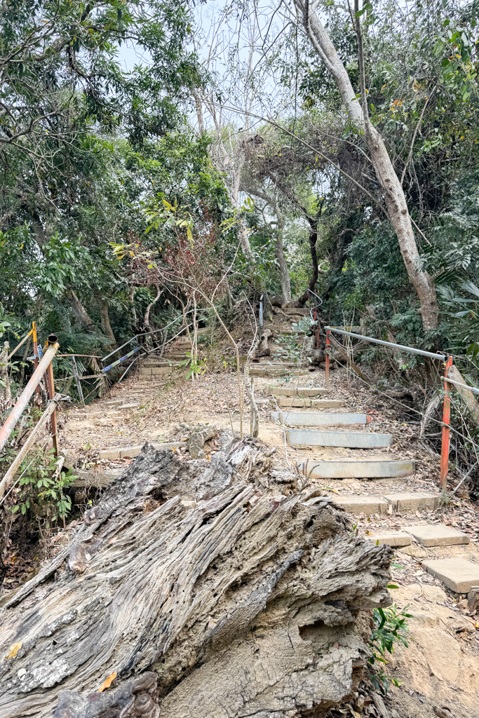 台中北屯｜南觀音山登山步道．編號42小百岳就在台中市區，必拍打卡點黃金佛手 @飛天璇的口袋