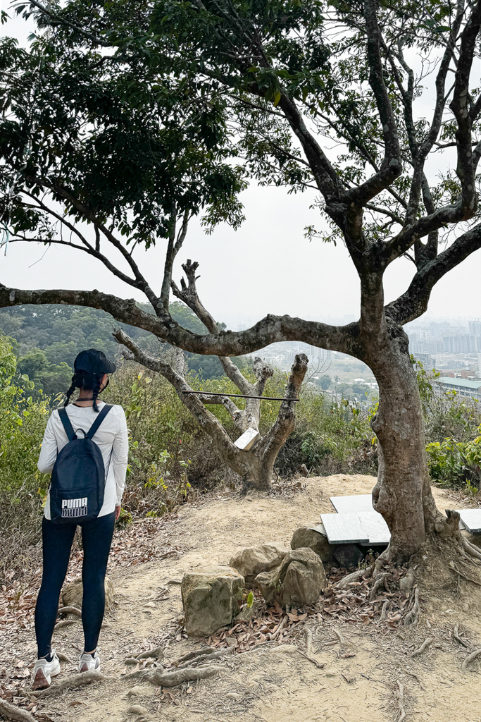 台中北屯｜南觀音山登山步道．編號42小百岳就在台中市區，必拍打卡點黃金佛手 @飛天璇的口袋
