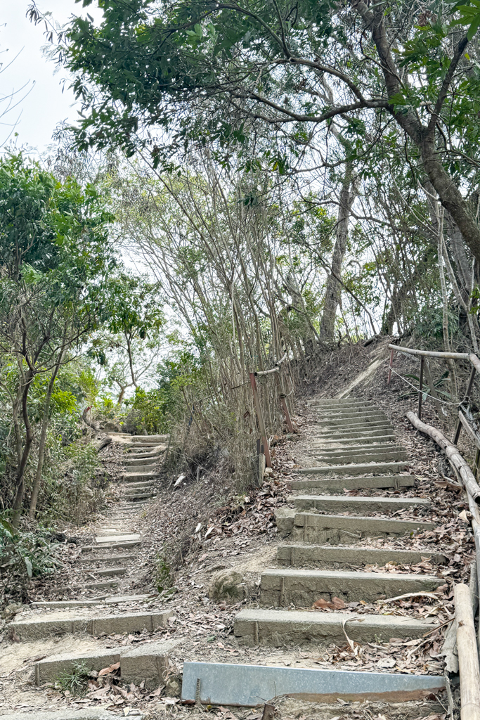 台中北屯｜南觀音山登山步道．編號42小百岳就在台中市區，必拍打卡點黃金佛手 @飛天璇的口袋