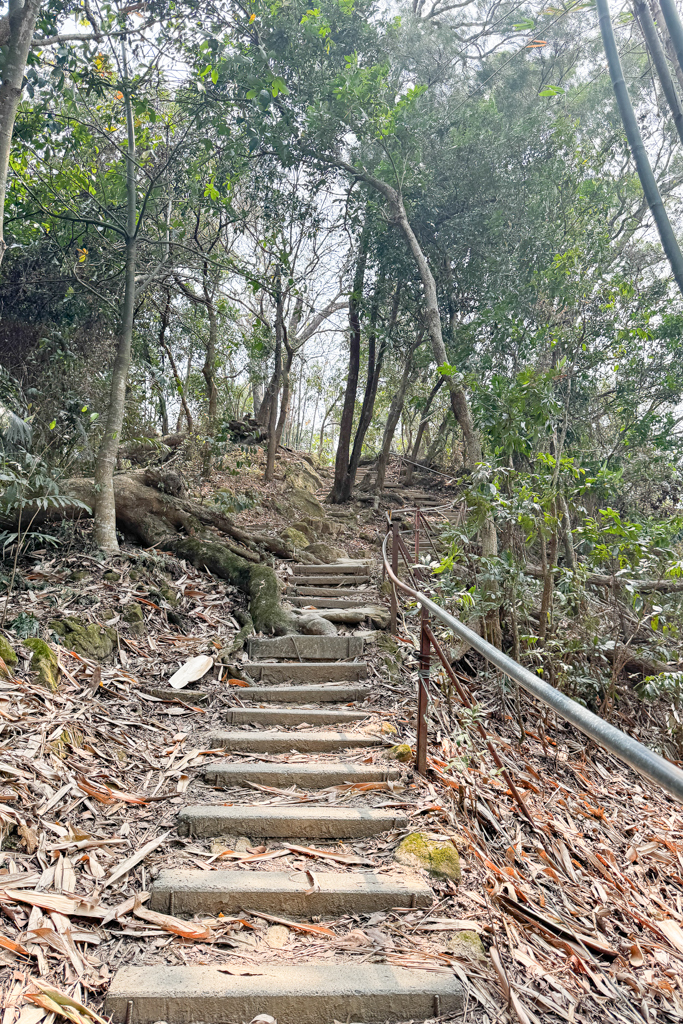 台中北屯｜南觀音山登山步道．編號42小百岳就在台中市區，必拍打卡點黃金佛手 @飛天璇的口袋