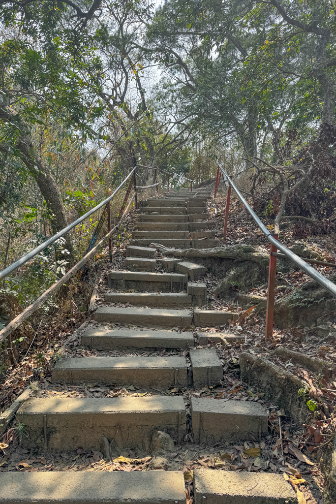 台中北屯｜南觀音山登山步道．編號42小百岳就在台中市區，必拍打卡點黃金佛手 @飛天璇的口袋