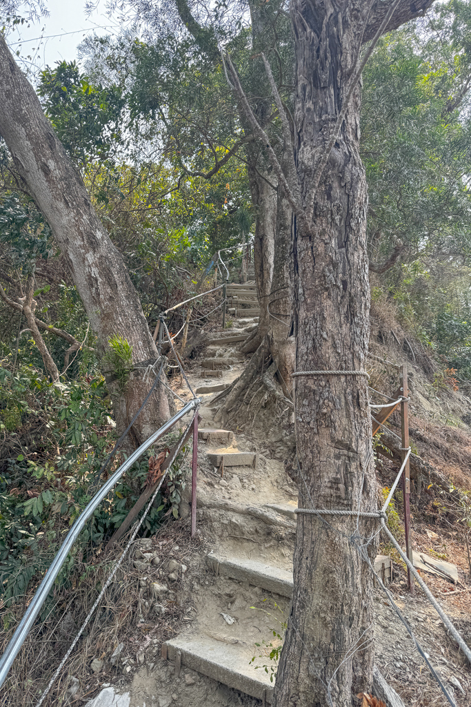 台中北屯｜南觀音山登山步道．編號42小百岳就在台中市區，必拍打卡點黃金佛手 @飛天璇的口袋