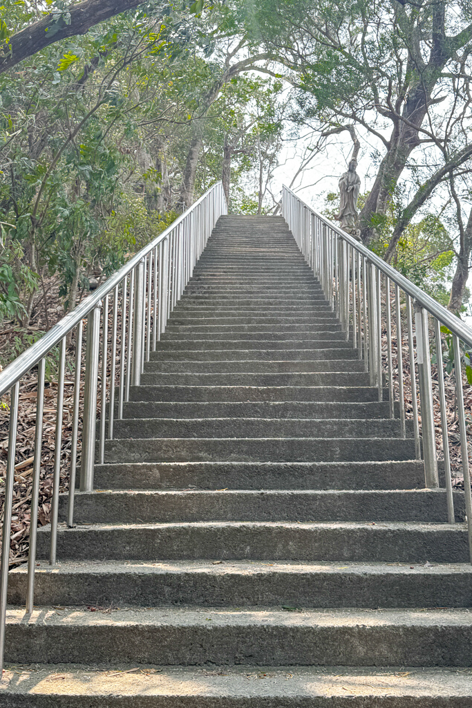 台中北屯｜南觀音山登山步道．編號42小百岳就在台中市區，必拍打卡點黃金佛手 @飛天璇的口袋