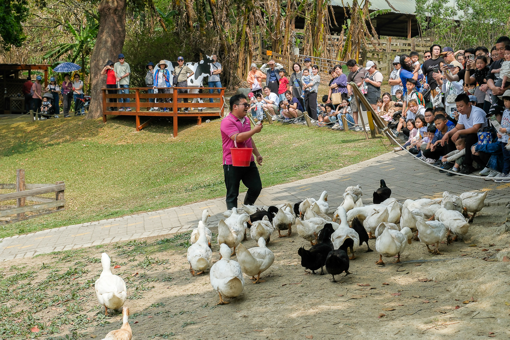 2026春遊苗栗!苗栗2天1夜輕旅行.全台最大文化影城、苗栗首座國際星級觀光飯店、占地120公頃牧場餵羊羊、露天風呂享受泡湯趣 @飛天璇的口袋 2026春遊苗栗!苗栗2天1夜輕旅行.全台最大文化影城、苗栗首座國際星級觀光飯店、占地120公頃牧場餵羊羊、露天風呂享受泡湯趣 @飛天璇的口袋