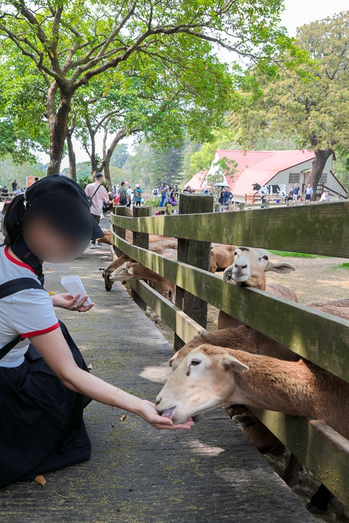 2026春遊苗栗!苗栗2天1夜輕旅行.全台最大文化影城、苗栗首座國際星級觀光飯店、占地120公頃牧場餵羊羊、露天風呂享受泡湯趣 @飛天璇的口袋 2026春遊苗栗!苗栗2天1夜輕旅行.全台最大文化影城、苗栗首座國際星級觀光飯店、占地120公頃牧場餵羊羊、露天風呂享受泡湯趣 @飛天璇的口袋