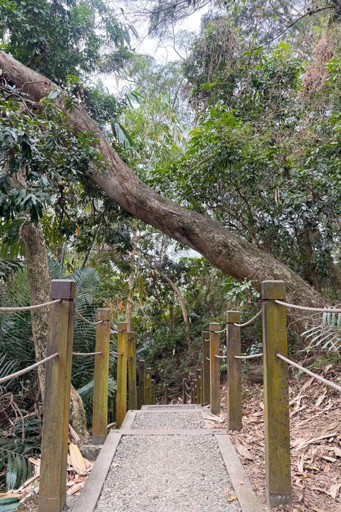 台中北屯｜大坑6號步道．全長1.7公里沿途美景，經觀音亭到風洞石 @飛天璇的口袋