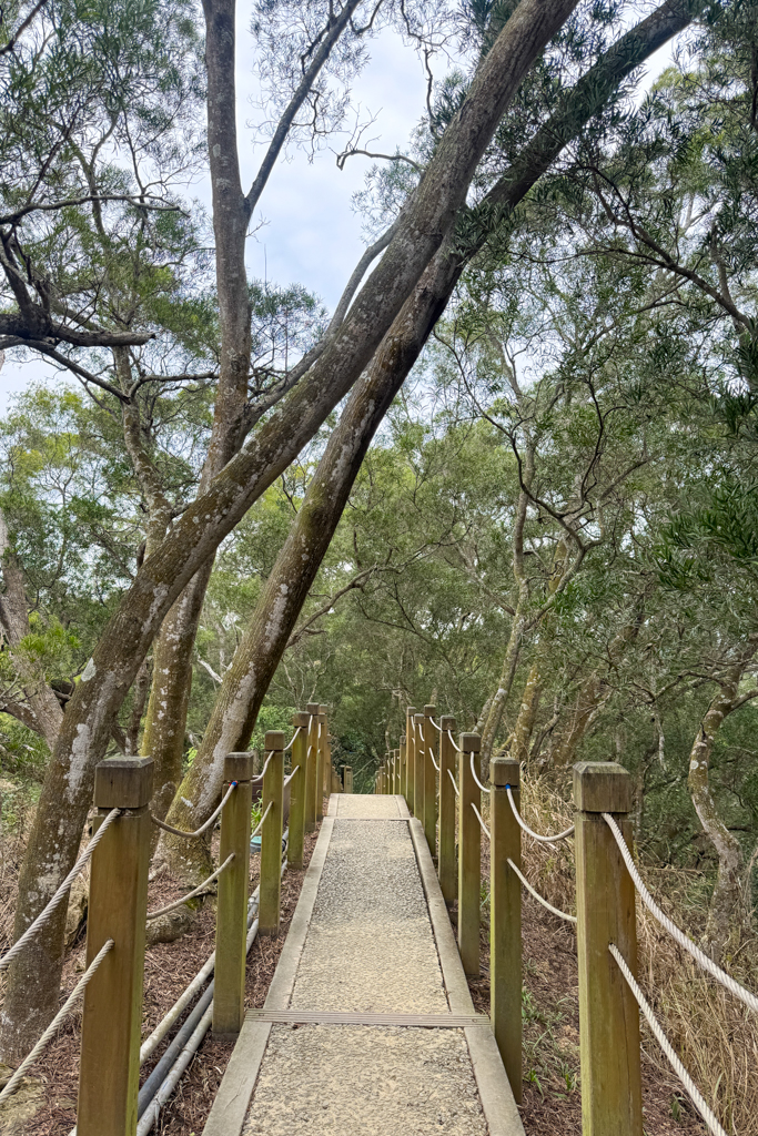 台中北屯｜大坑6號步道．全長1.7公里沿途美景，經觀音亭到風洞石 @飛天璇的口袋