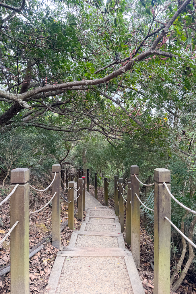 台中北屯|大坑6號步道.全長1.7公里沿途美景,經觀音亭到風洞石 @飛天璇的口袋 台中北屯|大坑6號步道.全長1.7公里沿途美景,經觀音亭到風洞石 @飛天璇的口袋