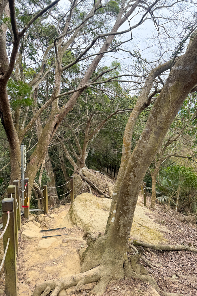 台中北屯|大坑6號步道.全長1.7公里沿途美景,經觀音亭到風洞石 @飛天璇的口袋 台中北屯|大坑6號步道.全長1.7公里沿途美景,經觀音亭到風洞石 @飛天璇的口袋