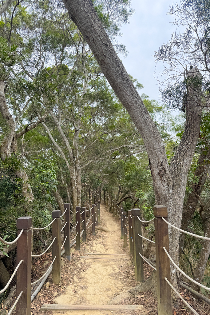 台中北屯｜大坑6號步道．全長1.7公里沿途美景，經觀音亭到風洞石 @飛天璇的口袋