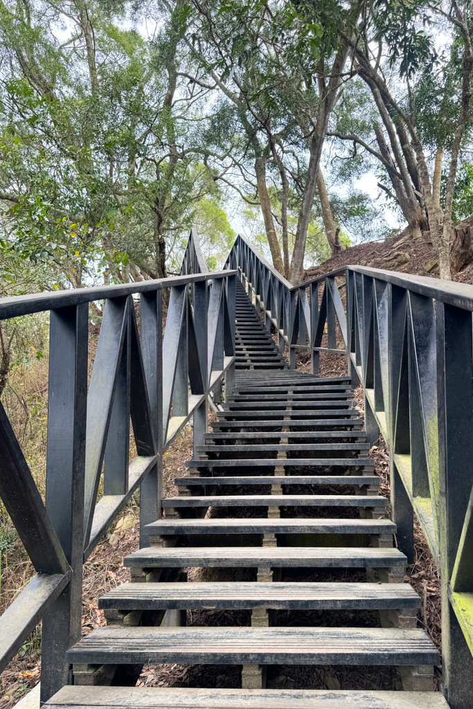 台中北屯|大坑6號步道.全長1.7公里沿途美景,經觀音亭到風洞石 @飛天璇的口袋 台中北屯|大坑6號步道.全長1.7公里沿途美景,經觀音亭到風洞石 @飛天璇的口袋