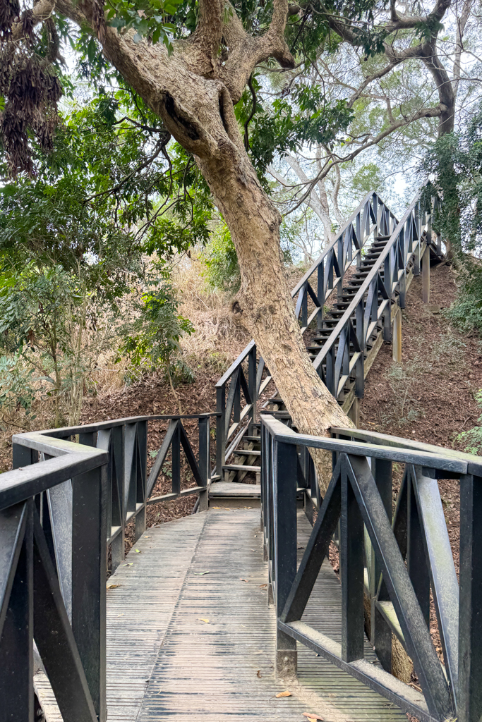 台中北屯｜大坑6號步道．全長1.7公里沿途美景，經觀音亭到風洞石 @飛天璇的口袋