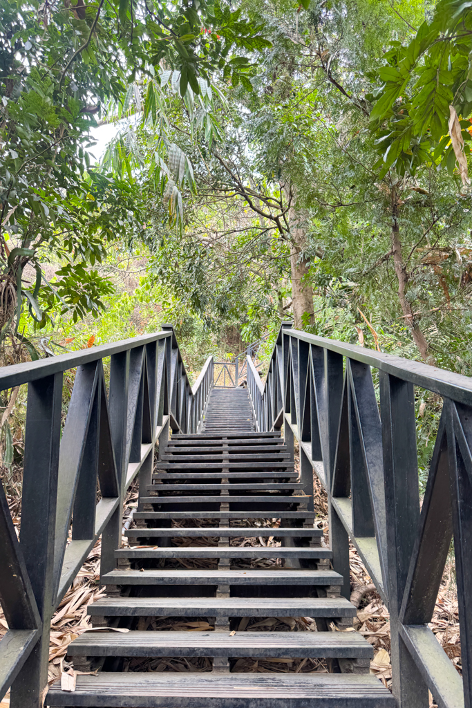 台中北屯｜大坑6號步道．全長1.7公里沿途美景，經觀音亭到風洞石 @飛天璇的口袋