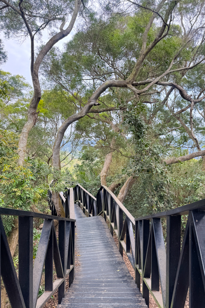 台中北屯｜大坑6號步道．全長1.7公里沿途美景，經觀音亭到風洞石 @飛天璇的口袋