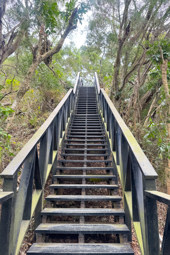 台中北屯｜大坑6號步道．全長1.7公里沿途美景，經觀音亭到風洞石 @飛天璇的口袋