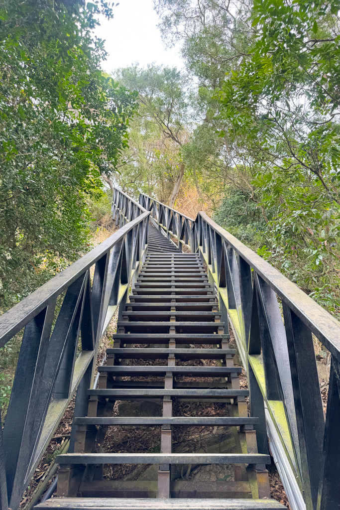 台中北屯|大坑6號步道.全長1.7公里沿途美景,經觀音亭到風洞石 @飛天璇的口袋 台中北屯|大坑6號步道.全長1.7公里沿途美景,經觀音亭到風洞石 @飛天璇的口袋