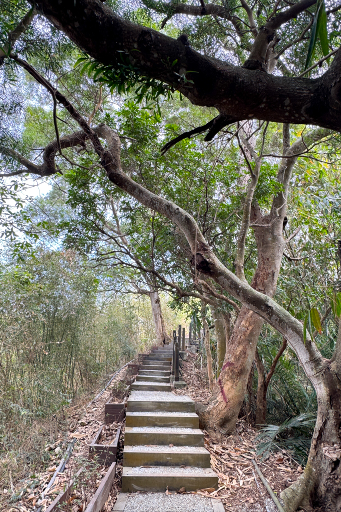 台中北屯｜大坑6號步道．全長1.7公里沿途美景，經觀音亭到風洞石 @飛天璇的口袋