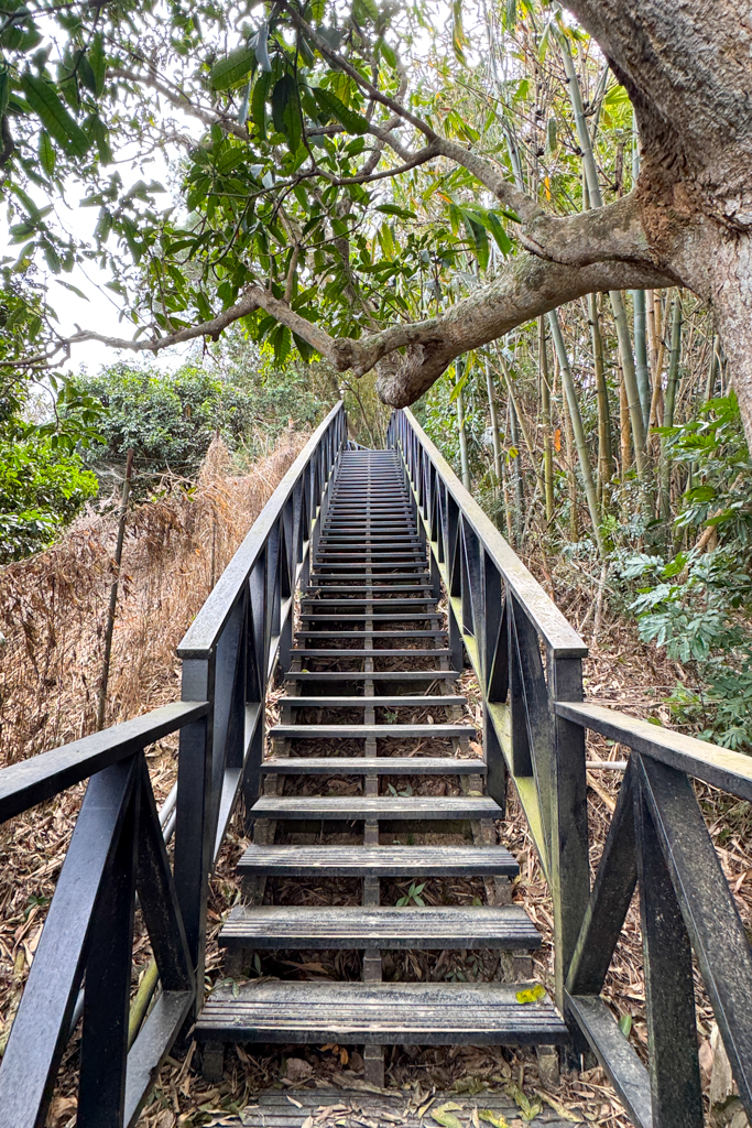 台中北屯|大坑6號步道.全長1.7公里沿途美景,經觀音亭到風洞石 @飛天璇的口袋 台中北屯|大坑6號步道.全長1.7公里沿途美景,經觀音亭到風洞石 @飛天璇的口袋